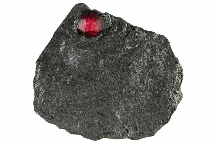 Red Embers Garnet in Graphite - Massachusetts #313546